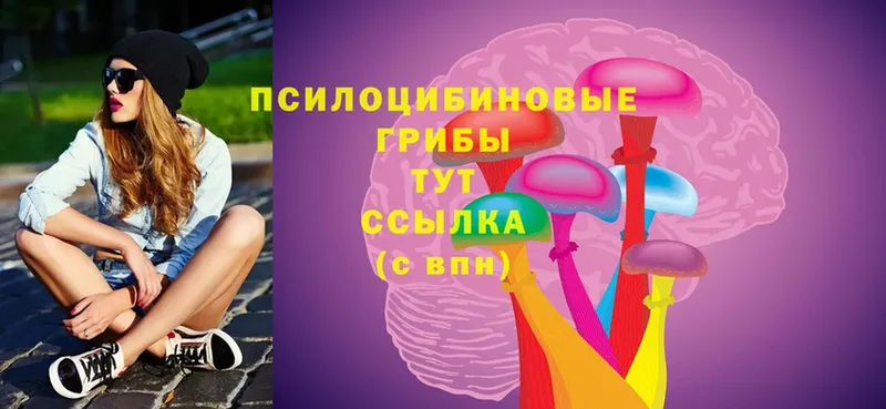 Галлюциногенные грибы Psilocybe  Дигора 